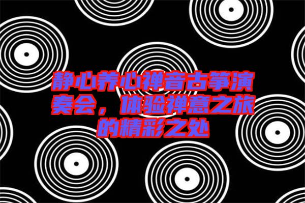 靜心養(yǎng)心禪音古箏演奏會，體驗禪意之旅的精彩之處
