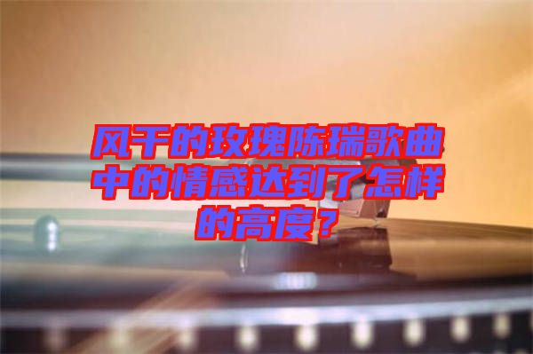 風(fēng)干的玫瑰陳瑞歌曲中的情感達(dá)到了怎樣的高度？
