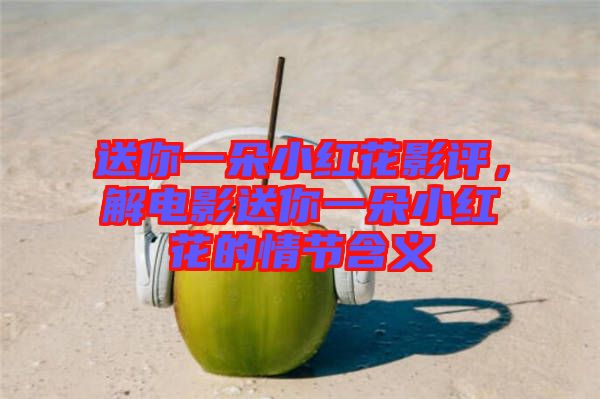 送你一朵小紅花影評(píng)，解電影送你一朵小紅花的情節(jié)含義