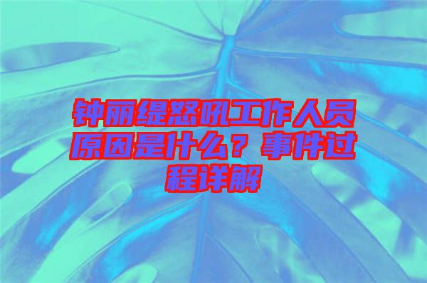 鐘麗緹怒吼工作人員原因是什么？事件過程詳解
