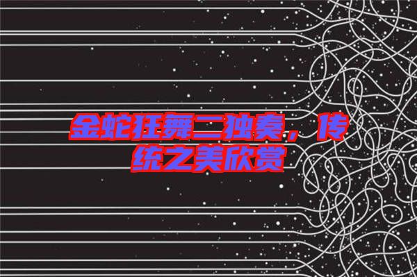 金蛇狂舞二獨(dú)奏，傳統(tǒng)之美欣賞
