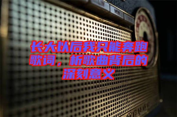 長大以后我只能奔跑歌詞，析歌曲背后的深刻意義