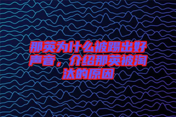 那英為什么被踢出好聲音，介紹那英被淘汰的原因