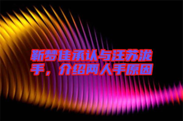 靳夢(mèng)佳承認(rèn)與汪蘇瀧手，介紹兩人手原因