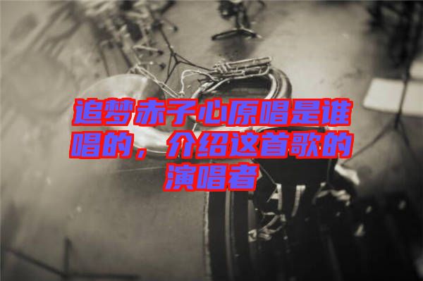 追夢赤子心原唱是誰唱的，介紹這首歌的演唱者
